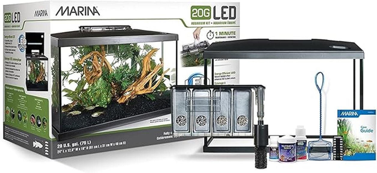 20 gallon led aquarium