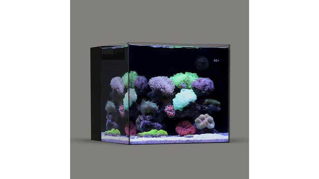 45 pound glass aquarium