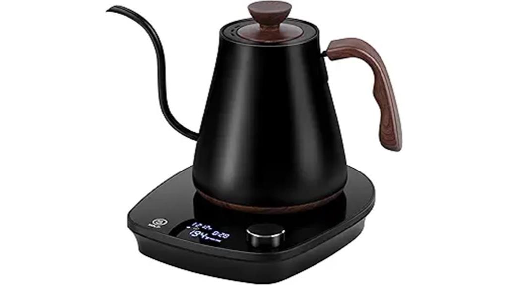 electric gooseneck kettle with temperature control