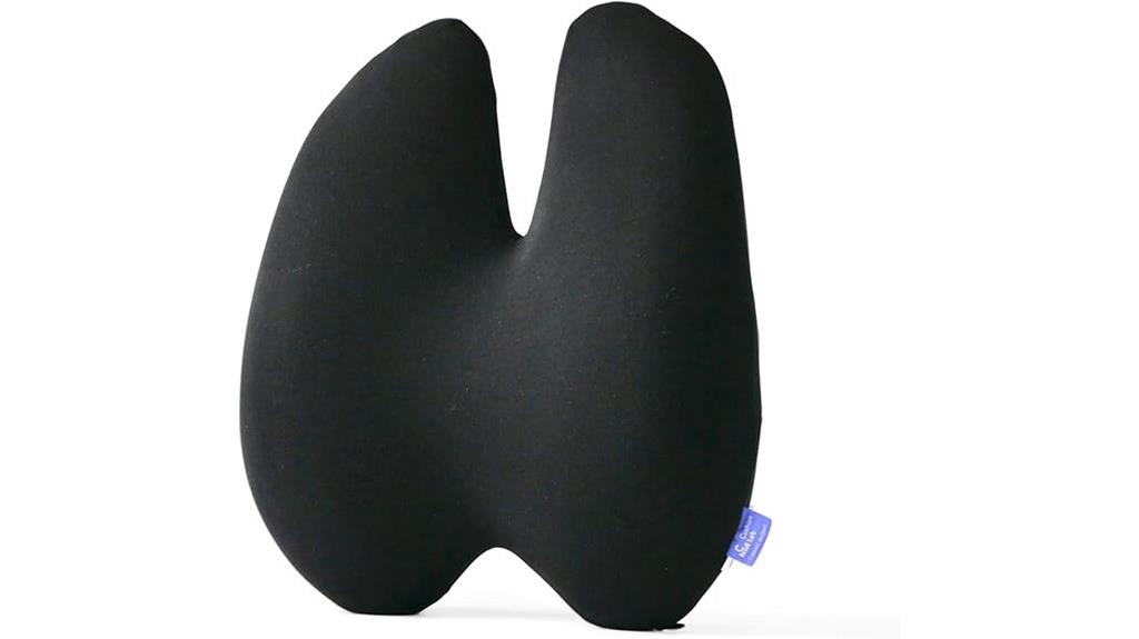 lumbar back support pillow