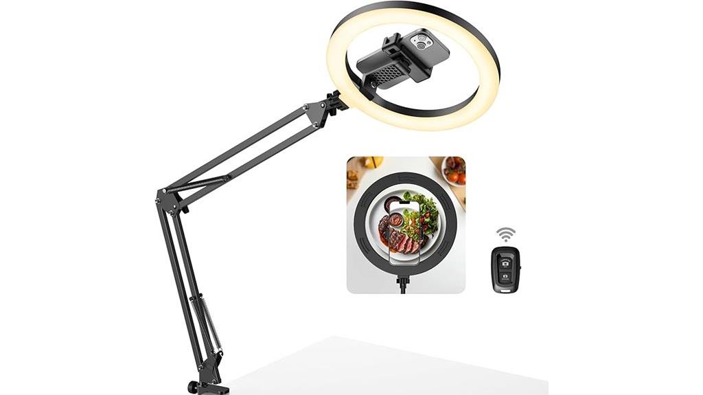 overhead phone mount with light