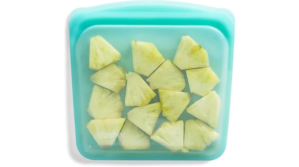 reusable aqua sandwich bag