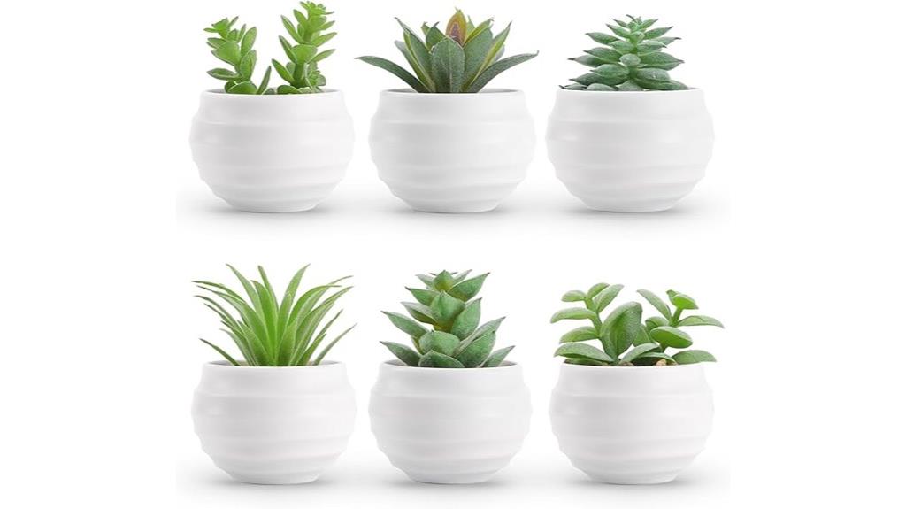 set of 6 faux succulents