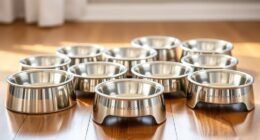 top elevated dog bowl options