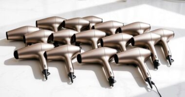 top lightweight ionic hair dryers