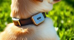 top non subscription gps collars