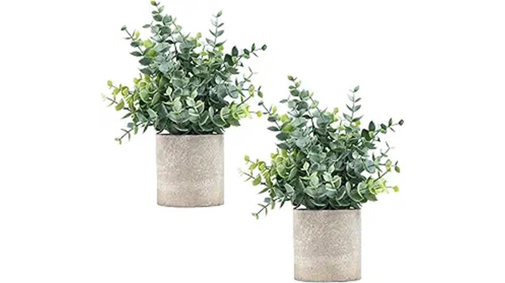two pack eucalyptus decor
