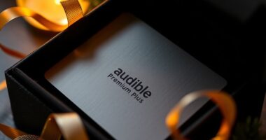 top audible premium gift