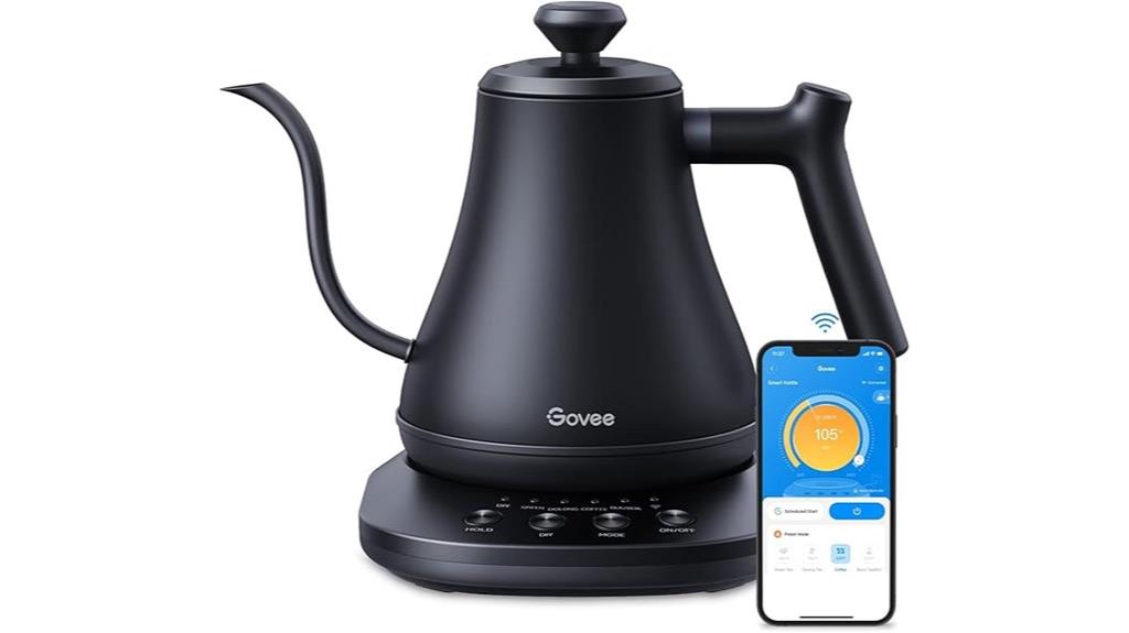 wifi alexa electric kettle