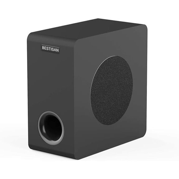 BESTISAN 6.5 Home Audio Subwoofer with RCA Input