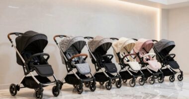 top 15 luxury baby strollers