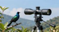 top birding spotting scopes 2026