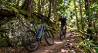 top electric mountain bikes