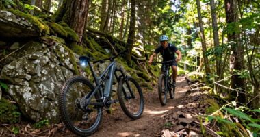 top electric mountain bikes