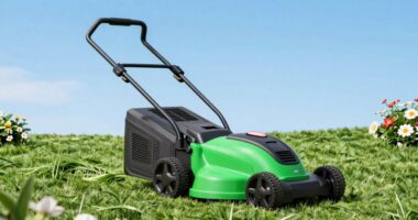 top quiet eco lawn mowers