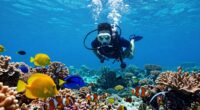 top scuba underwater camera guide
