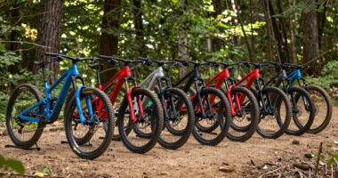 top trail mountain bike picks