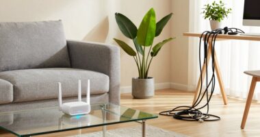 variable mesh wi fi performance