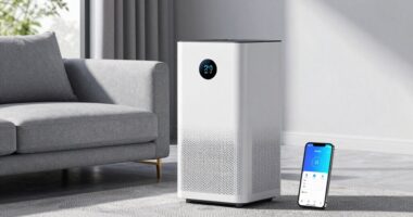smart dehumidifier buying guide