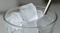 understanding nugget ice popularity