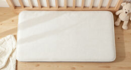 10 Best Crib Mattresses for Breathable Sleep in 2026
