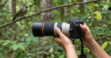 10 Best Telephoto Lenses for Wildlife Photography in 2026