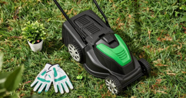 11 Best Cordless Lawn Mowers in 2026 — The Ultimate Guide