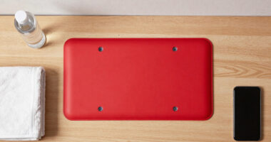 11 Best Red Light Therapy Panels for Recovery in 2026