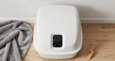 12 Best Smart Cat Litter Boxes in 2026