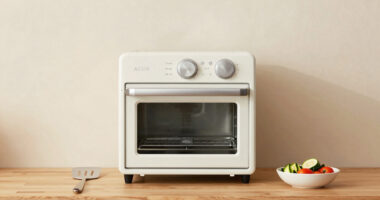 13 Best Air Fryer Toaster Ovens in 2026