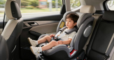 14 Best Best Booster Seats With High Backs in 2026