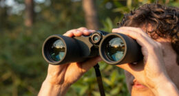 15 Best Binoculars for Bird Watching in 2026