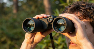 15 Best Binoculars for Bird Watching in 2026