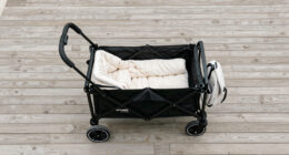 6 Best Wagon Strollers for Families in 2026