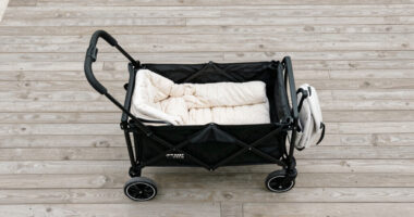 6 Best Wagon Strollers for Families in 2026