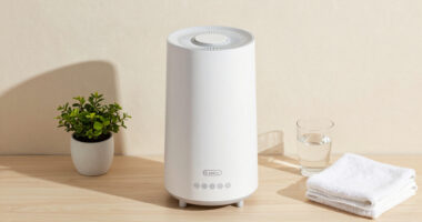 7 Best Whole Room Humidifiers for Skin Care Rooms in 2026