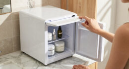 8 Best Beauty Fridges for Skincare in 2026
