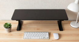 8 Best Standing Desk Converters for Home Office in 2026