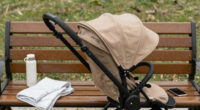 9 Best Strollers for City Parents in 2026