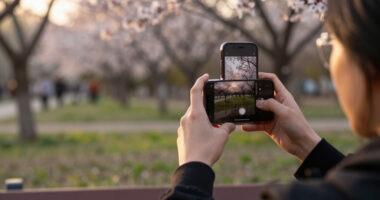 10 Best Apple Devices in 2026